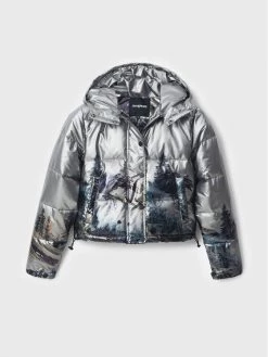 Desigual Γυναίκες Χειμωνιάτικα Μπουφάν Μπουφάν πουπουλένιο Vintage 22WWEW70 Ασημί Regular Fit