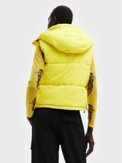 Desigual Γυναίκες Γιλέκα Γιλέκο MONSIEUR CHRISTIAN LACROIX Lekran 22WWEWB1 Κίτρινο Regular Fit 9 Desigual Γυναίκες Γιλέκα Γιλέκο MONSIEUR CHRISTIAN LACROIX Lekran 22WWEWB1 Κίτρινο Regular Fit -Εξοδος Desigual Κατάστημα unnamed file 3028